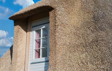 Lushcott thatch roof disadvantages