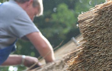 professional Lushcott thatchers